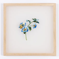 Royal Chou pansy silk embroidery kit — RSN endorsed, frame, threads and stand