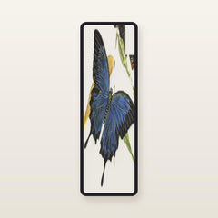 The Odyssey bookmark The Ulysses Butterfly: translucent silk organza bookmark, 11.5 x 3.5 cm, black silk-wrapped frame, printed with Donovan, Papilio ulysses, 1842